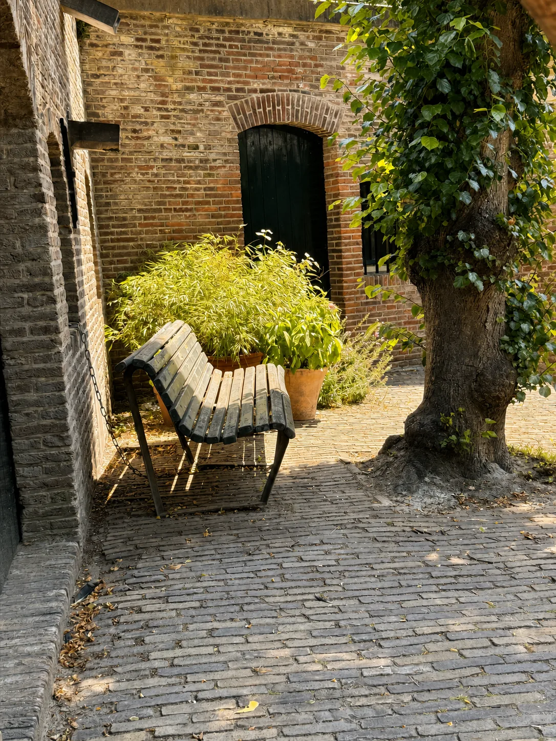 Het bankje onder de boom bij de groene deur