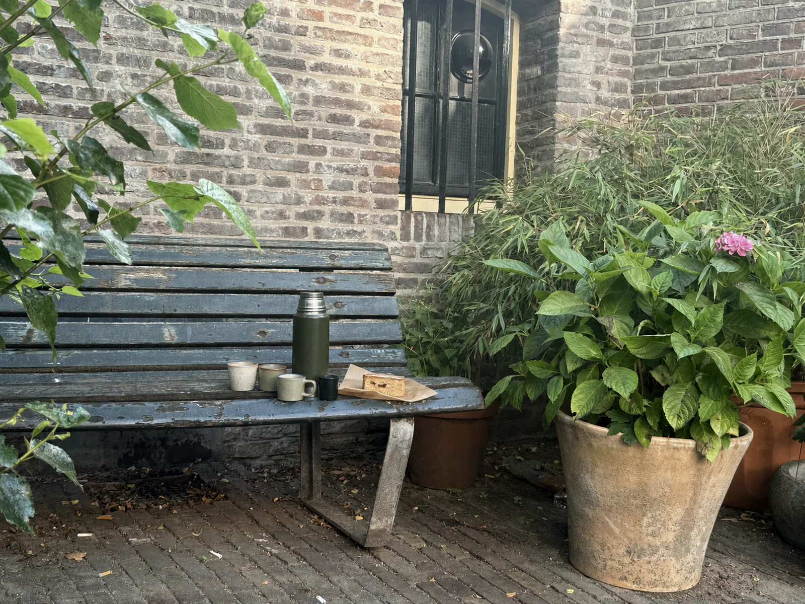Koffiekopjes op het bankje bij de groene deur